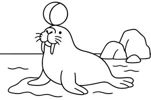 Uśmiechnięty mors z ciosami i wąsami balansuje okrągłą piłką na nosie. Siedzi na lodzie obok dużych skał, a w tle widać łagodne fale oceanu.