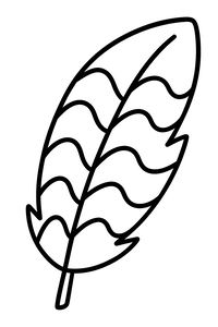 Un semplice disegno a linee bianche e nere di una piuma grande. L'interno della piuma è diviso in diverse ampie sezioni orizzontali da linee parallele ondulate. Ha un calamo corto e una forma arrotondata con contorni spessi.