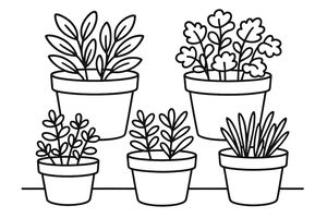 Um desenho simples a preto e branco de cinco vasos de ervas dispostos em duas filas. As plantas mostram vários estilos de folhas em vasos minimalistas.