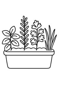 Um desenho de linha minimalista de uma floreira contendo quatro tipos diferentes de ervas. As plantas variam entre folhas ovais largas e lâminas de erva pontiagudas, todas plantadas em fila.