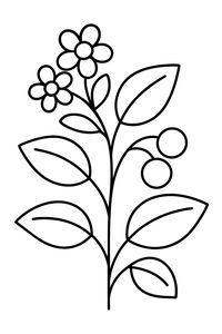 Un semplice disegno a linee in bianco e nero dello stelo di una pianta. Presenta due fiori a cinque petali sulla cima, diverse grandi foglie ovali e due piccole bacche rotonde appese a un ramo laterale.