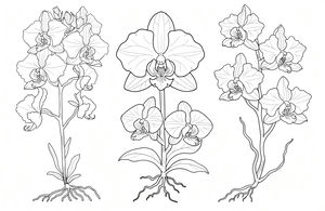 Um desenho para colorir horizontal que mostra três espécies diferentes de orquídeas em arte de linha preta e branca. As plantas têm flores grandes e raízes detalhadas no chão.